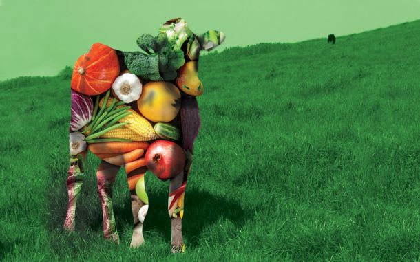 wp-content/uploads/Plant-Based-Horiz-Veggie-Cow-800x500px.jpg
